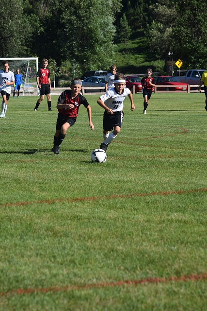 的灵动和效 的灵动和效