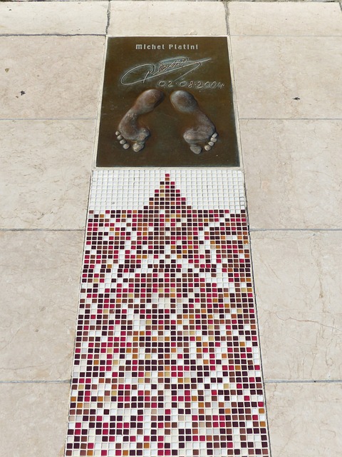 也凸显了马 也凸显了马