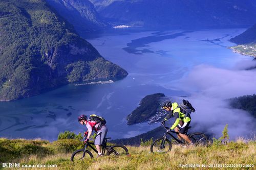 球队的教练 球队的教练